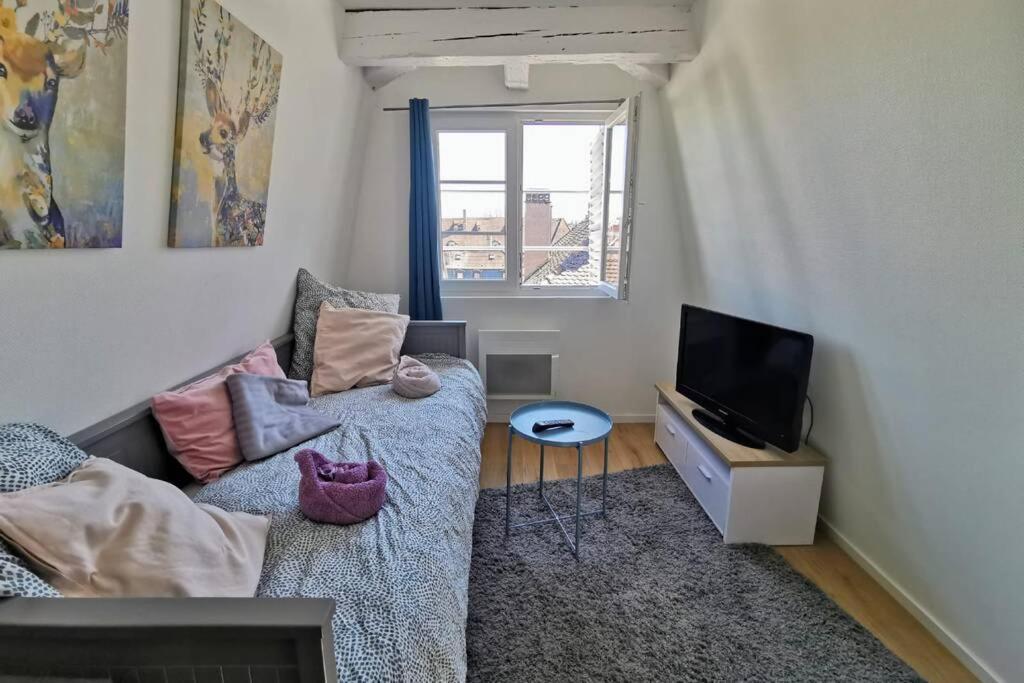 ** Appartement Cathedrale Strasbourg Centre** Экстерьер фото
